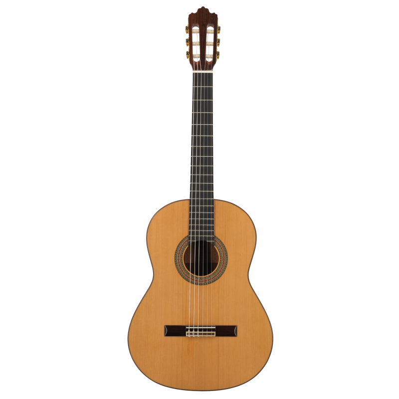 Prodipe SOLOIST 700 guitare classique