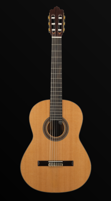 Prodipe SOLOIST 900 guitare classique