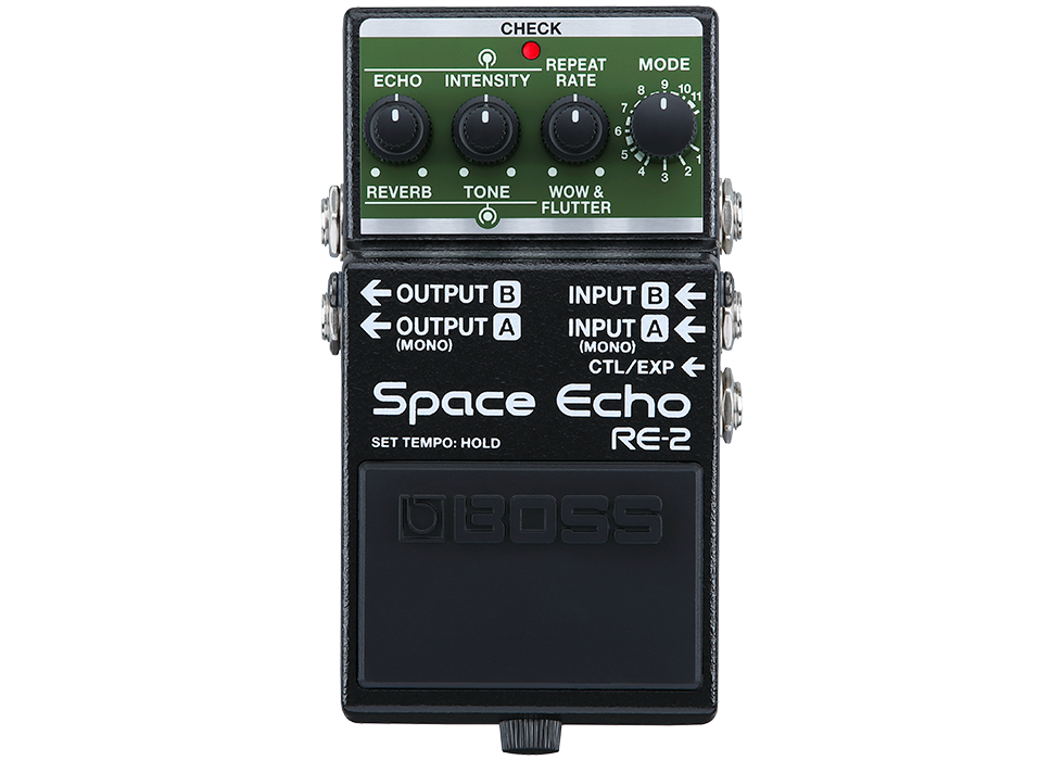 Boss RE2 LEGENDARY SPACE ECHO