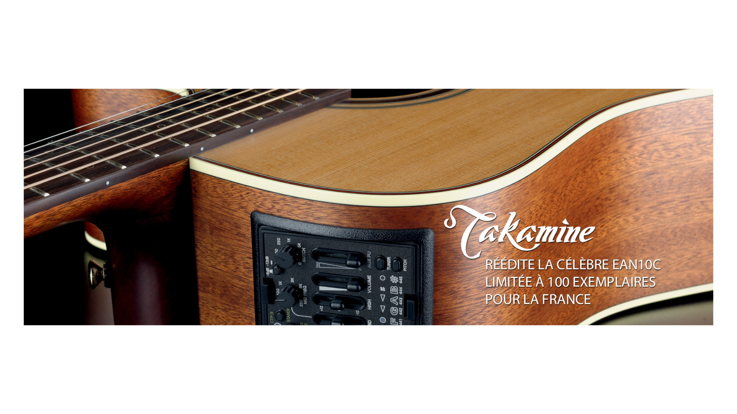 Guitare acoustiques TAKAMINE
