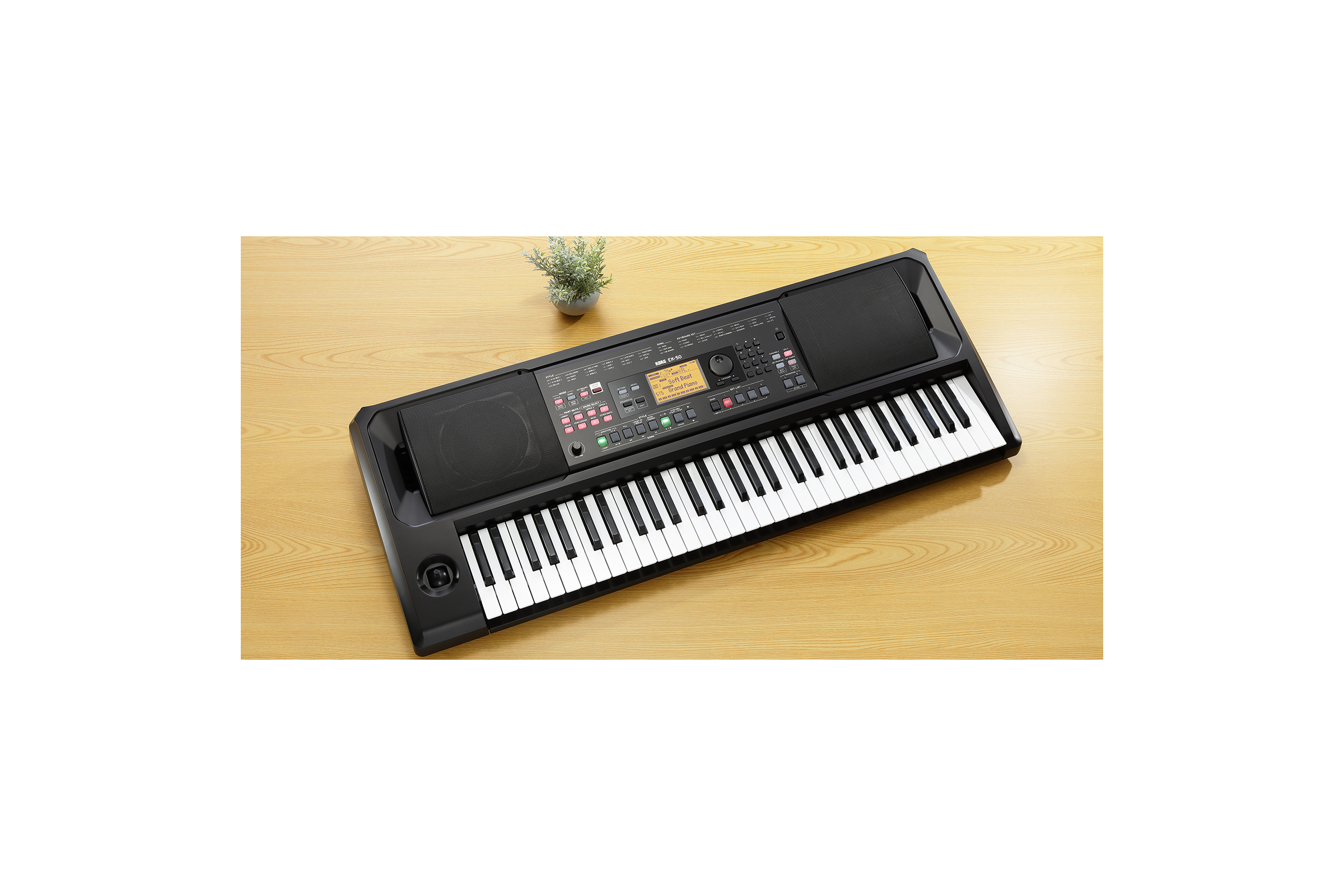 Claviers arrangeurs KORG