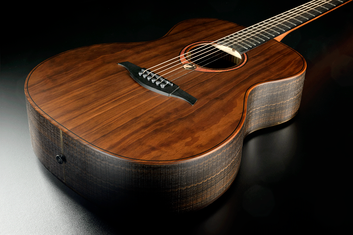 Lag Sauvage -A guitare folk acoustique