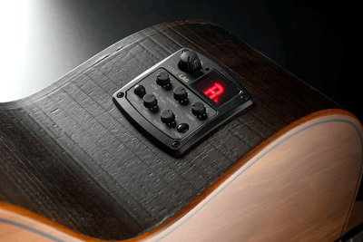 LAG SAUVAGE N ASCE  - Nylon électro-acoustique pan coupé