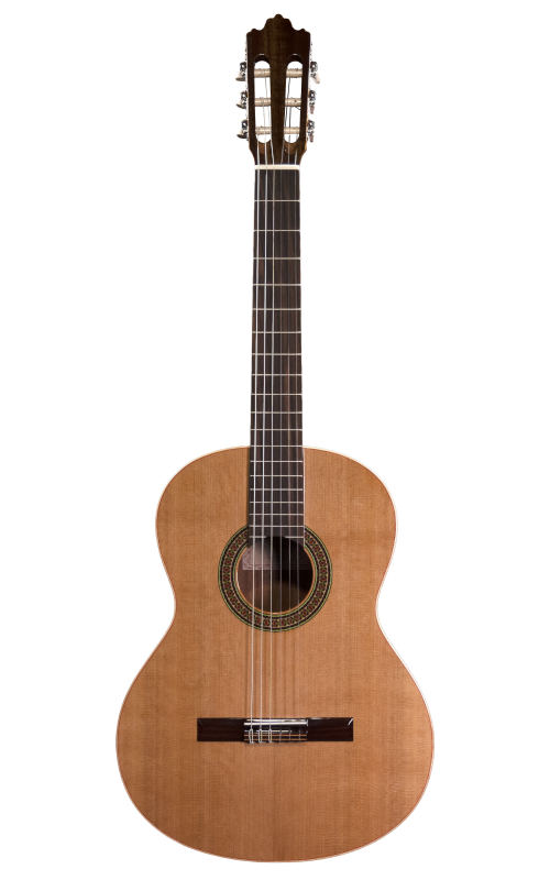 Prodipe RECITAL200 guitare classique