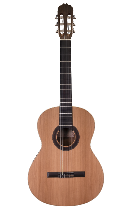 Prodipe STUDENT 4/4 Guitare classique table massive