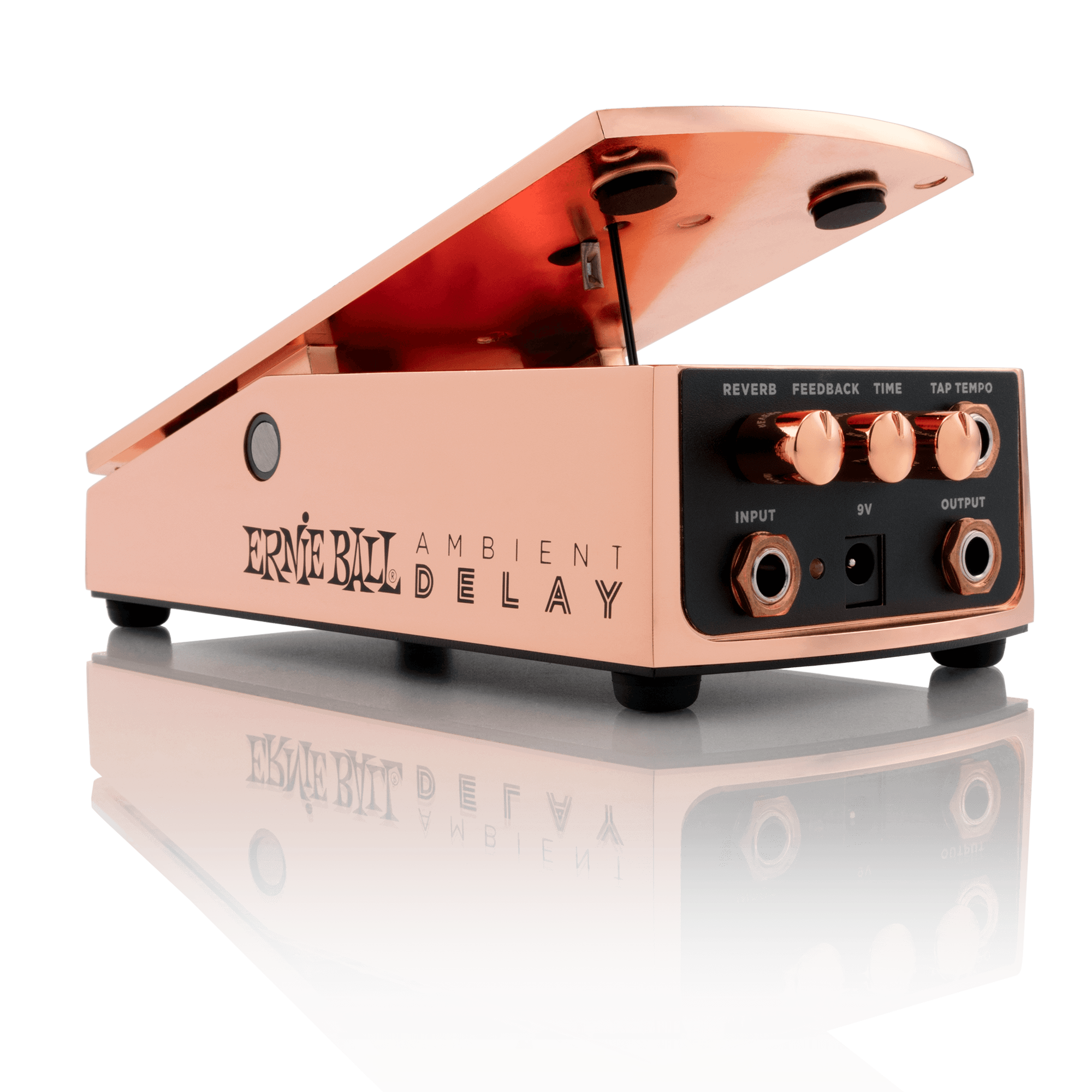 Ernie Ball Ambient delay