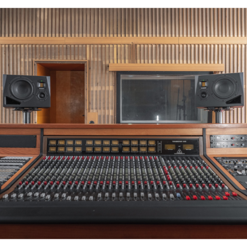 Adam Audio A8H Monitoring pro 8"