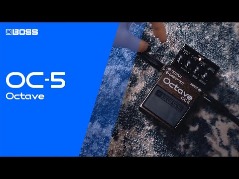 Charger la vidéo: Boss OC5 octaveur