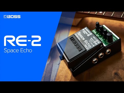 Boss RE2 LEGENDARY SPACE ECHO