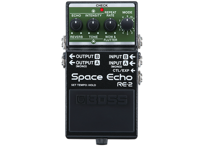 Boss RE2 LEGENDARY SPACE ECHO